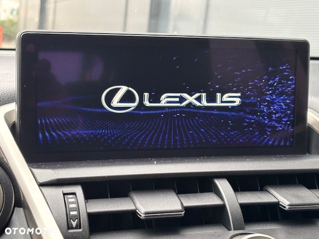 Lexus NX - 19