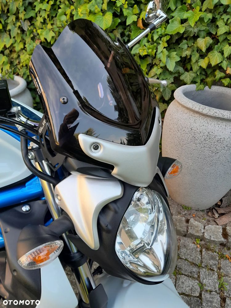 Suzuki Gladius - 6