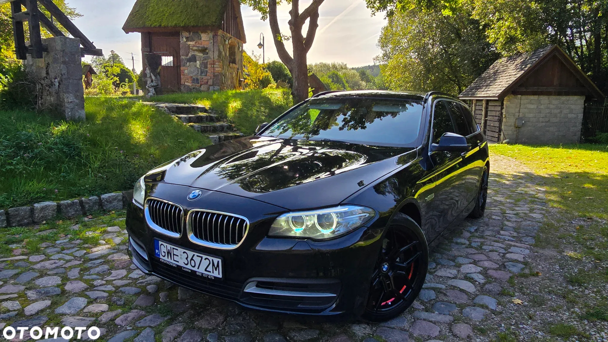 BMW Seria 5 520d Luxury Line - 13