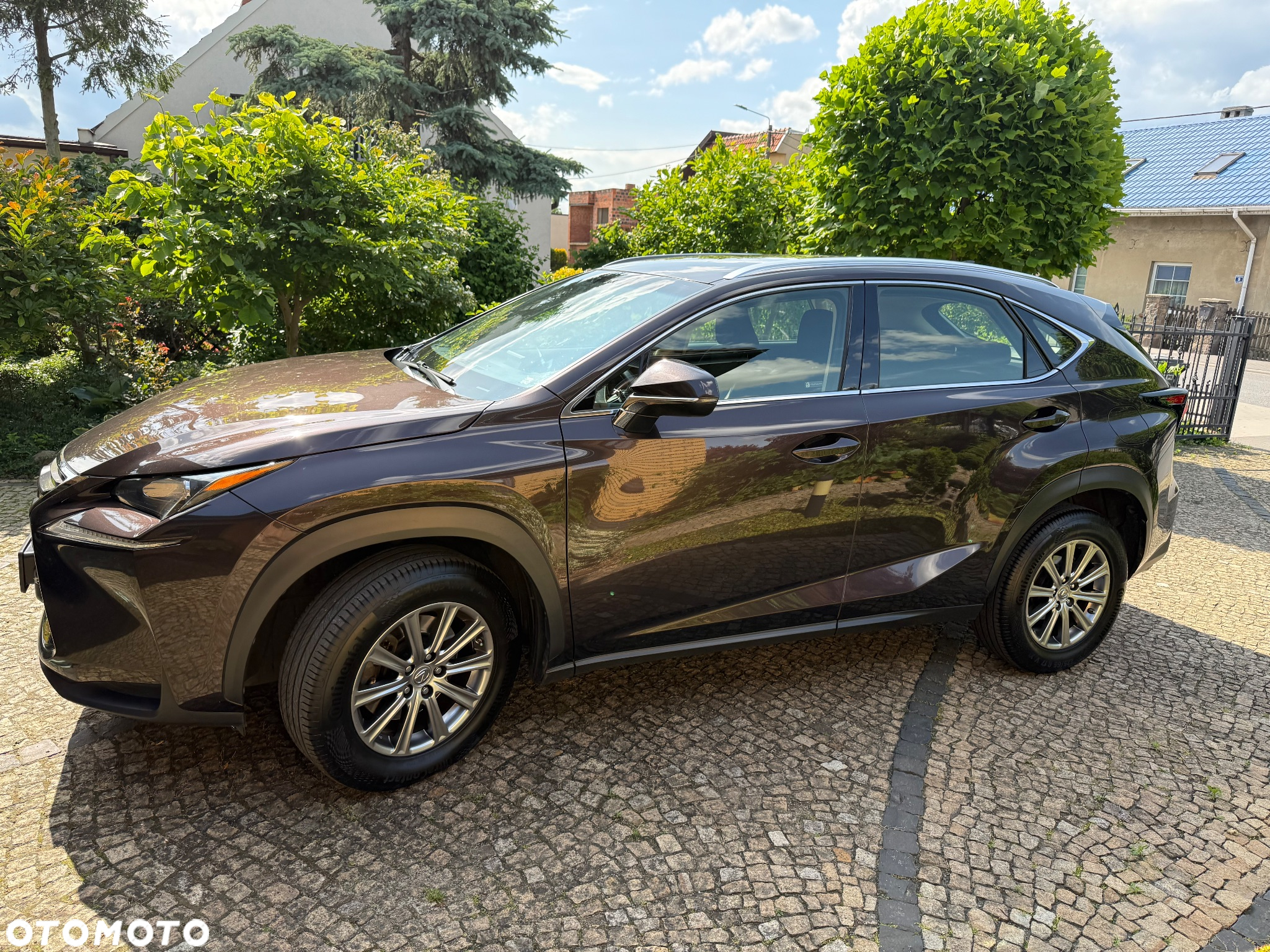Lexus NX - 8