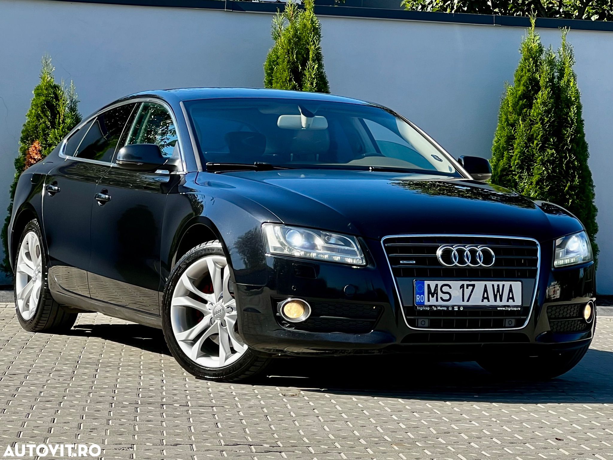 Audi A5 Sportback 2.0 TDI quattro - 1