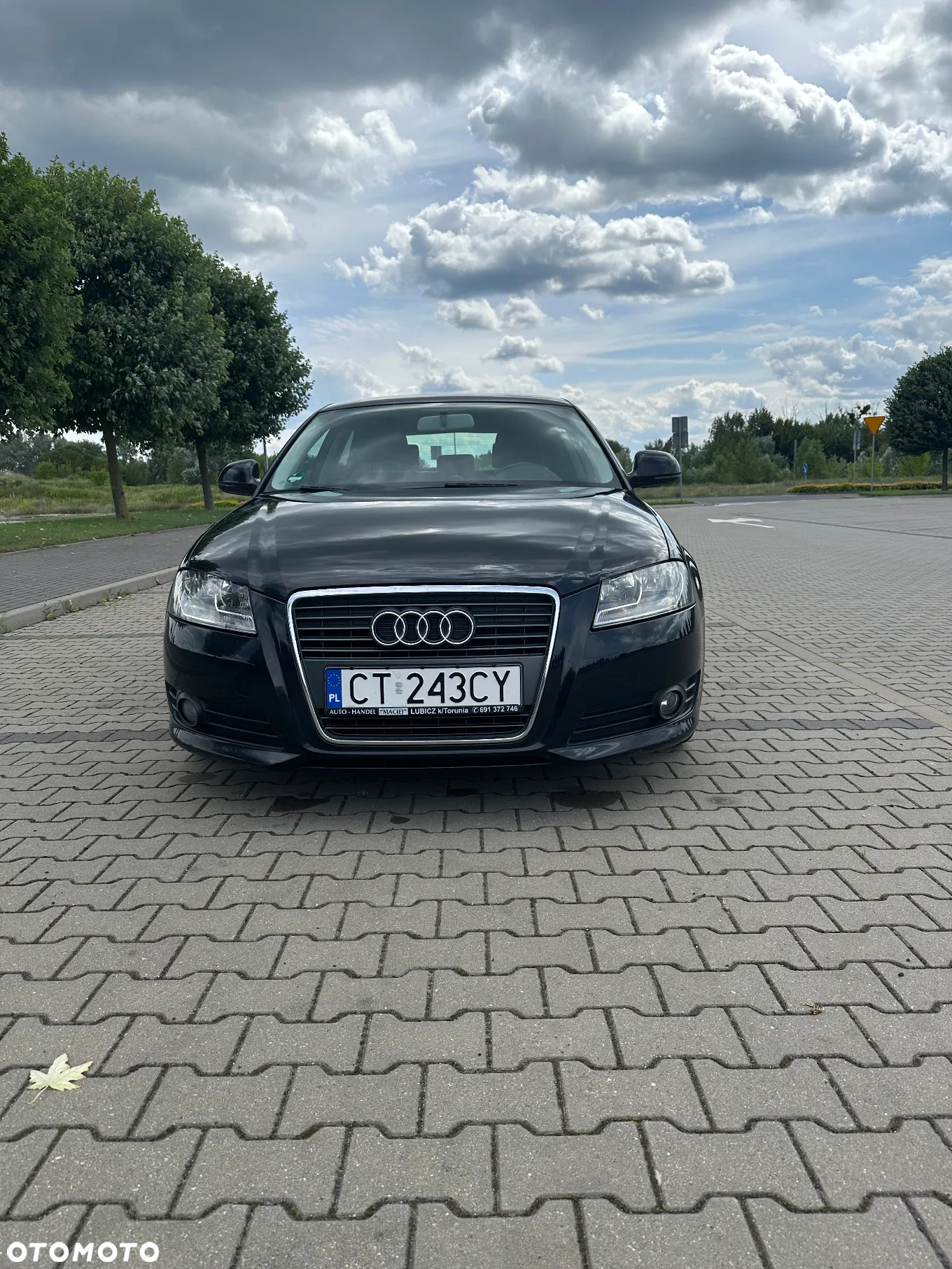 Audi A3 2.0 TDI DPF Ambition - 2