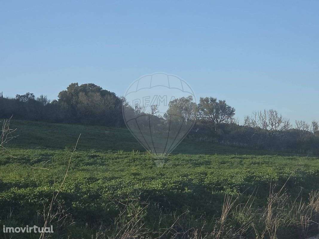 Terreno  para venda - Grande imagem: 2/10