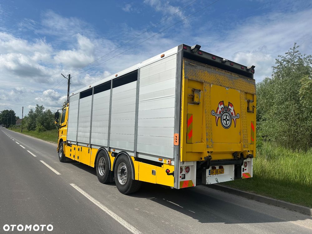 DAF CF 440  DO BYDLA -ZWIERZAT -ZYWCA - 6