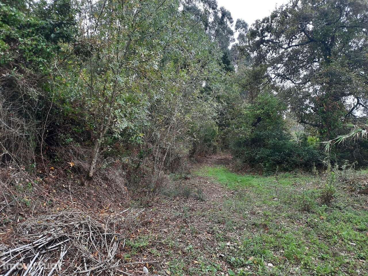 Moradia T2 VALE DE LOBOS - SINTRA - Grande imagem: 5/19