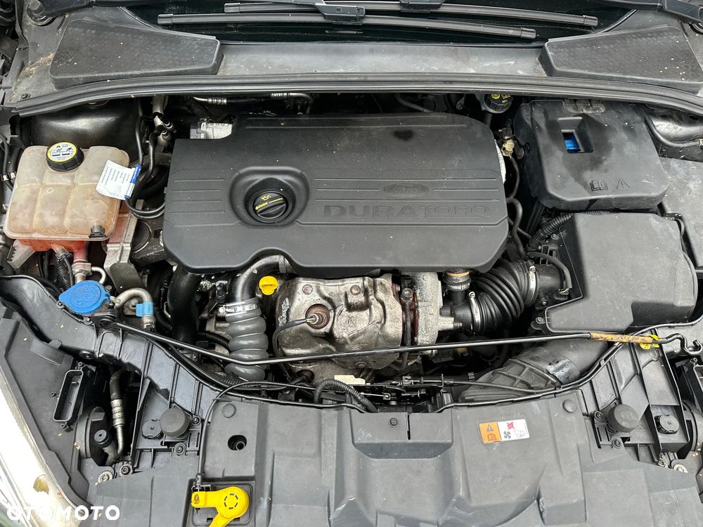 Ford Focus - 8