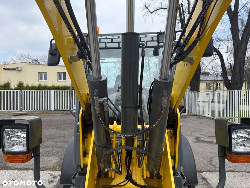 Wacker Neuson Ładowarka WL52 - 27