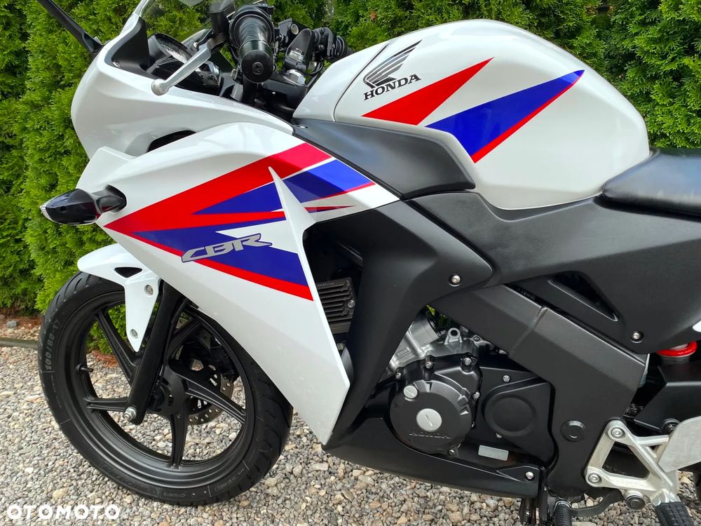 Honda CBR - 29