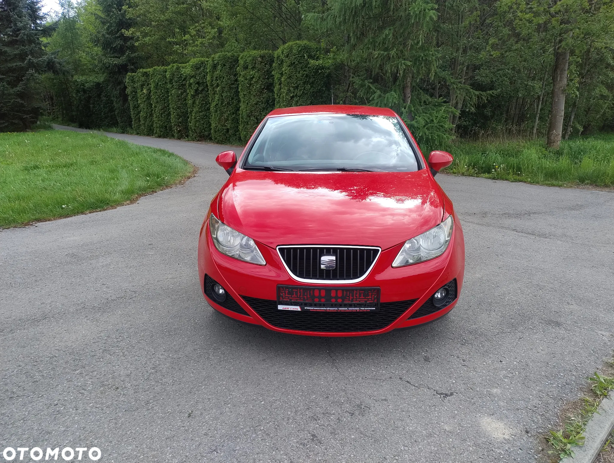 Seat Ibiza 1.4 16V Passion+ - 9