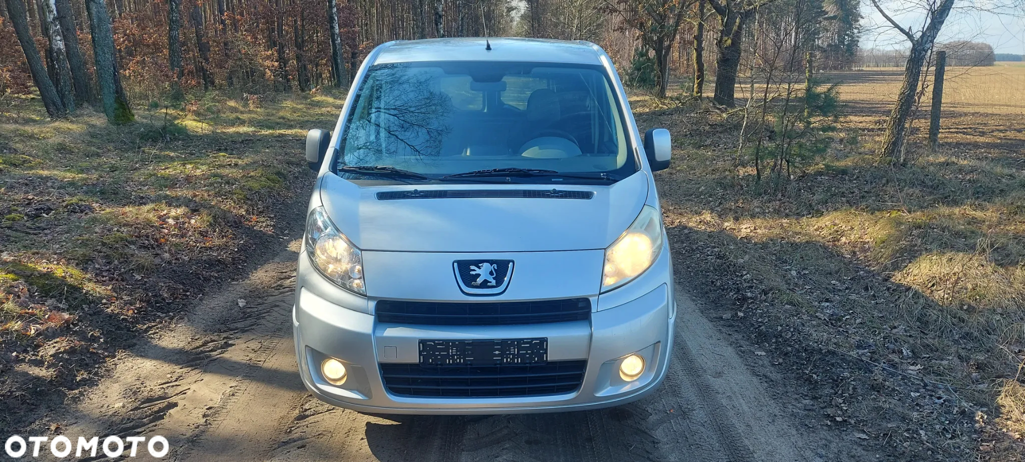 Peugeot Expert - 13