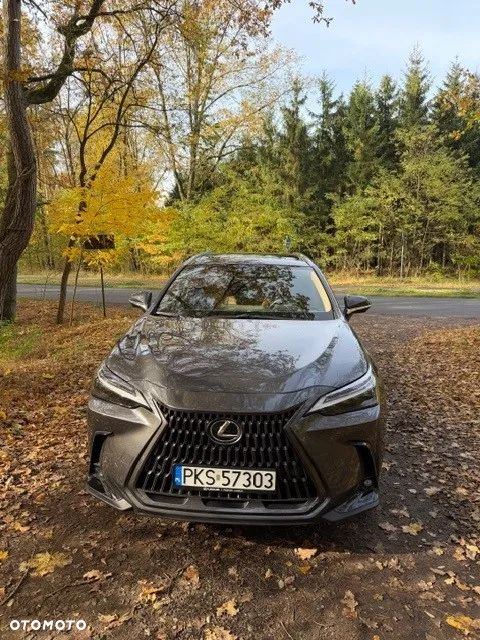 Lexus NX 350h Omotenashi AWD - 7