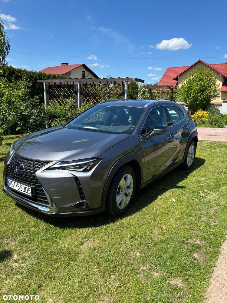Lexus UX 250h GPF Business Edition 2WD - 2