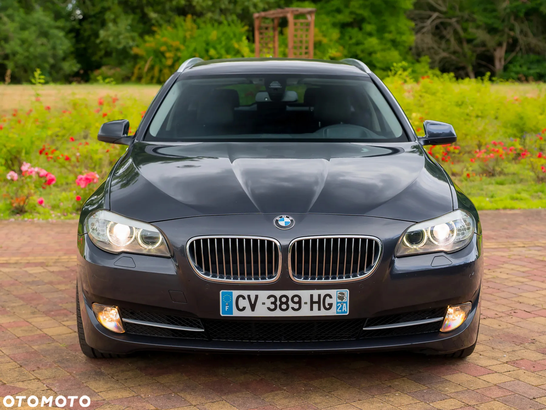 BMW Seria 5 525d Touring Sport-Aut Luxury Line - 8