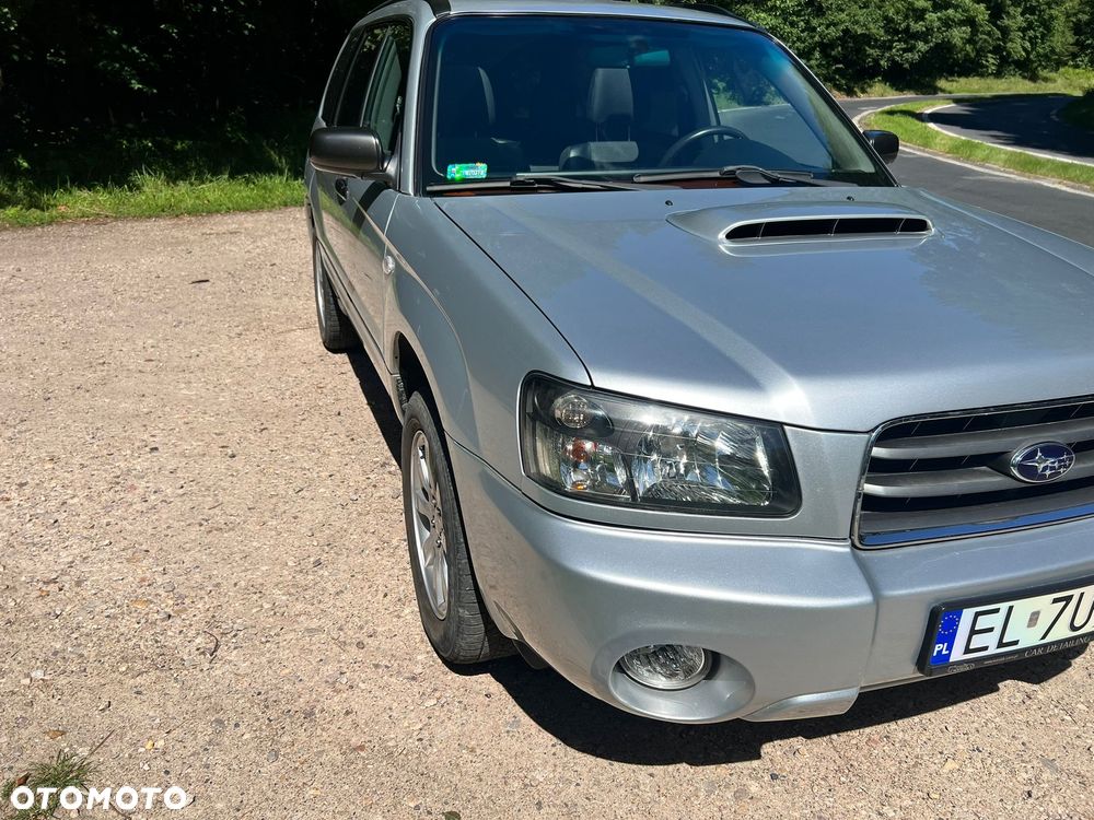 Subaru Forester - 19