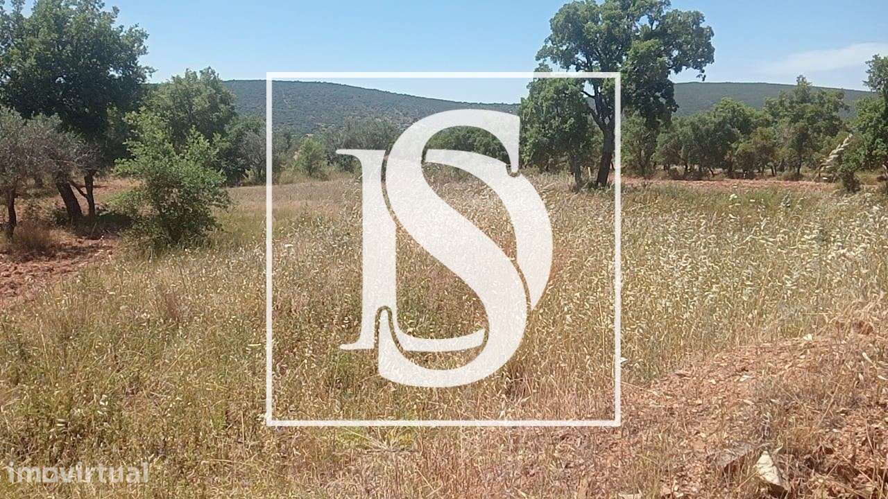 Terreno Rústico  Venda em Salir,Loulé - Grande imagem: 3/4