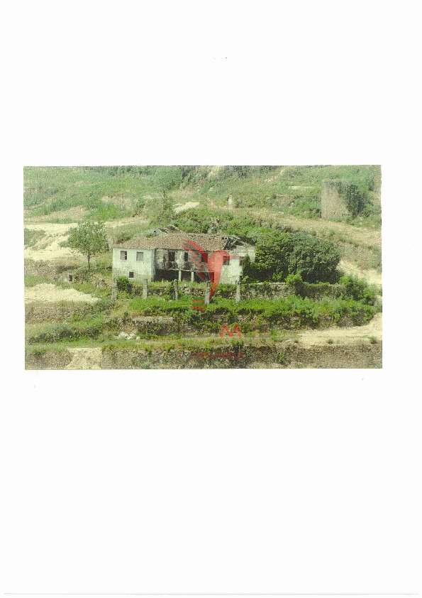 Quinta com duas casas para recuperar e vista fabulosa do Rio Douro - Grande imagem: 3/35