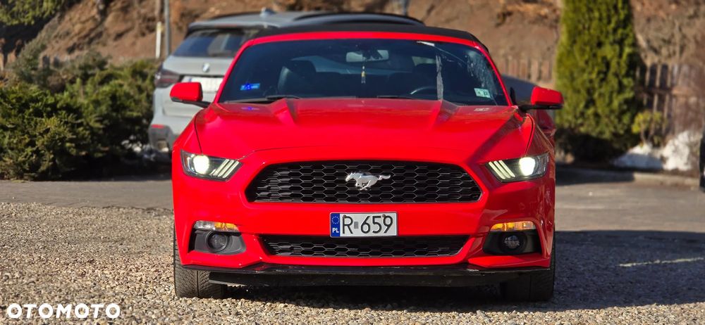 Ford Mustang Cabrio 2.3 Eco Boost - 2