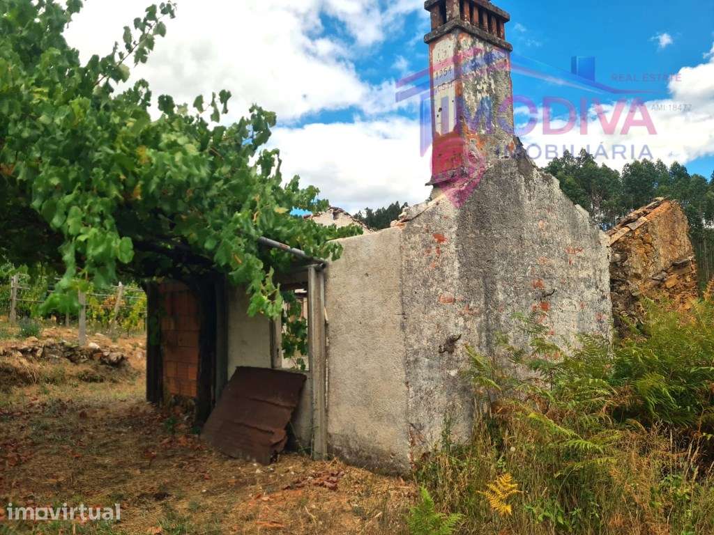 Quintinha rural com 4.848 m² | 2 terrenos urbanos + 2 rústicos | Gr... - Grande imagem: 5/29