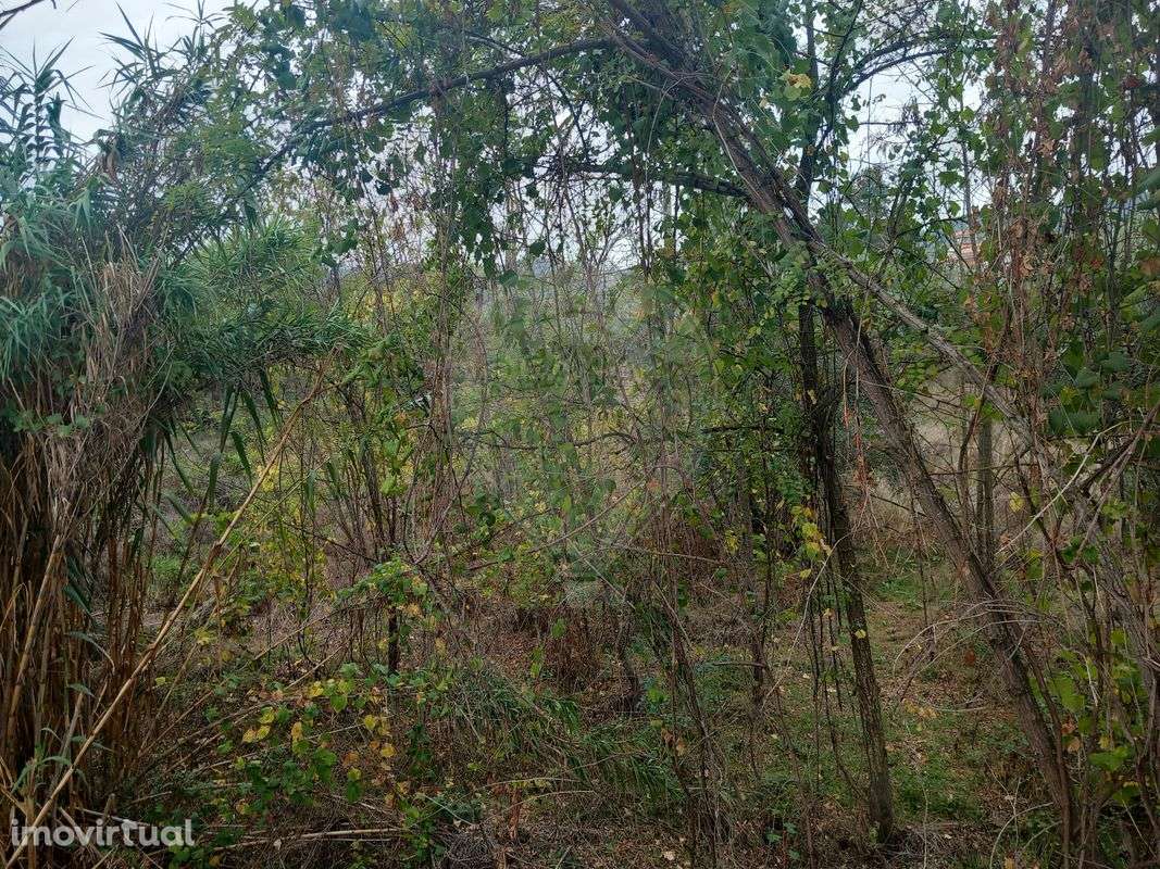 Terreno  para venda - Grande imagem: 3/6