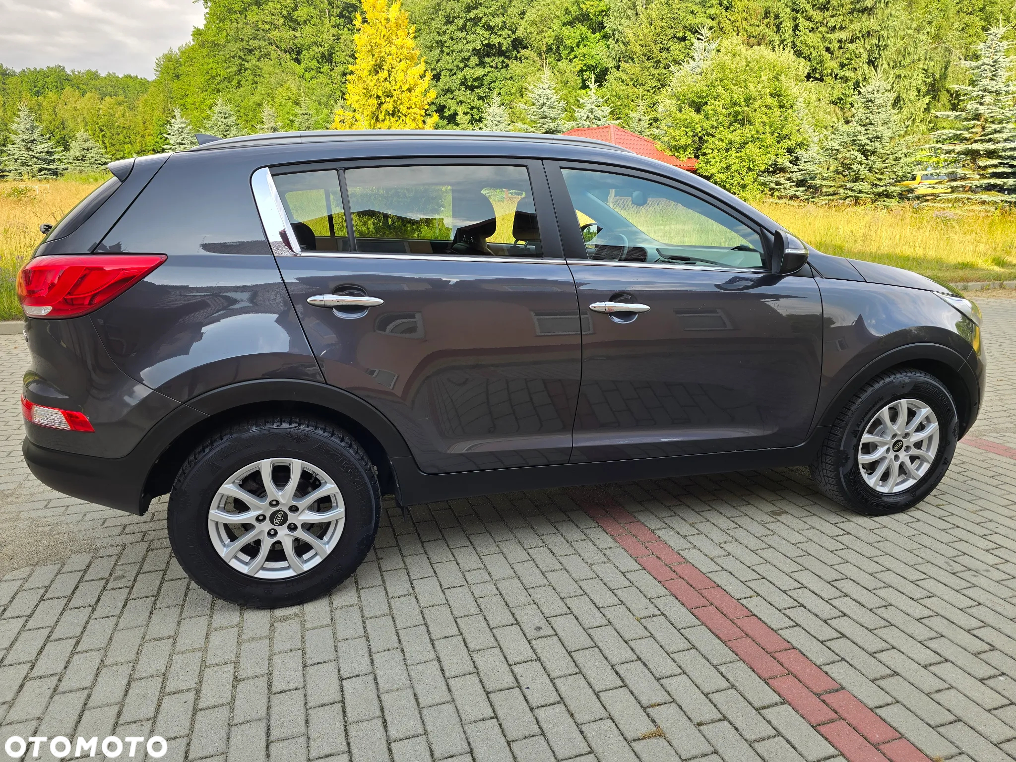 Kia Sportage 1.6 GDI Business Line M 2WD - 5