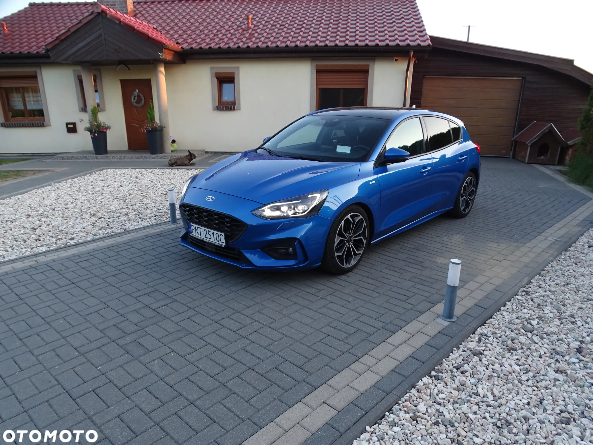 Ford Focus 1.5 EcoBlue Start-Stopp-System ST-LINE DESIGN - 2