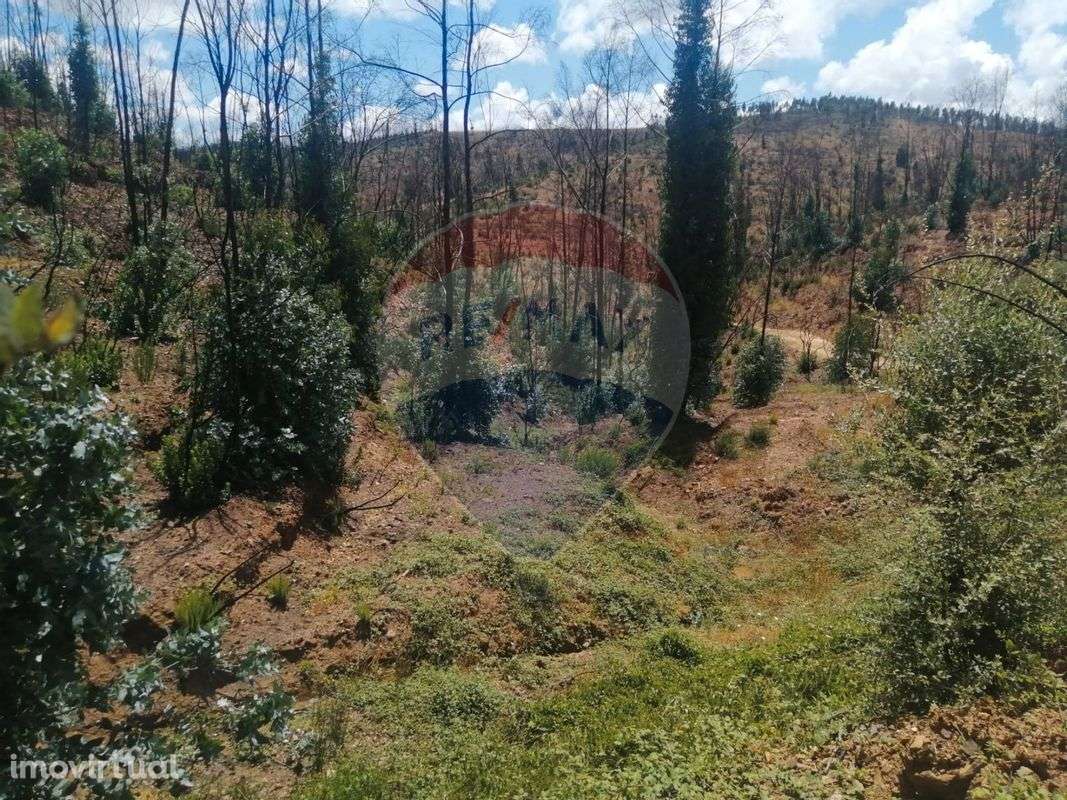 Terreno  para venda - Grande imagem: 2/14