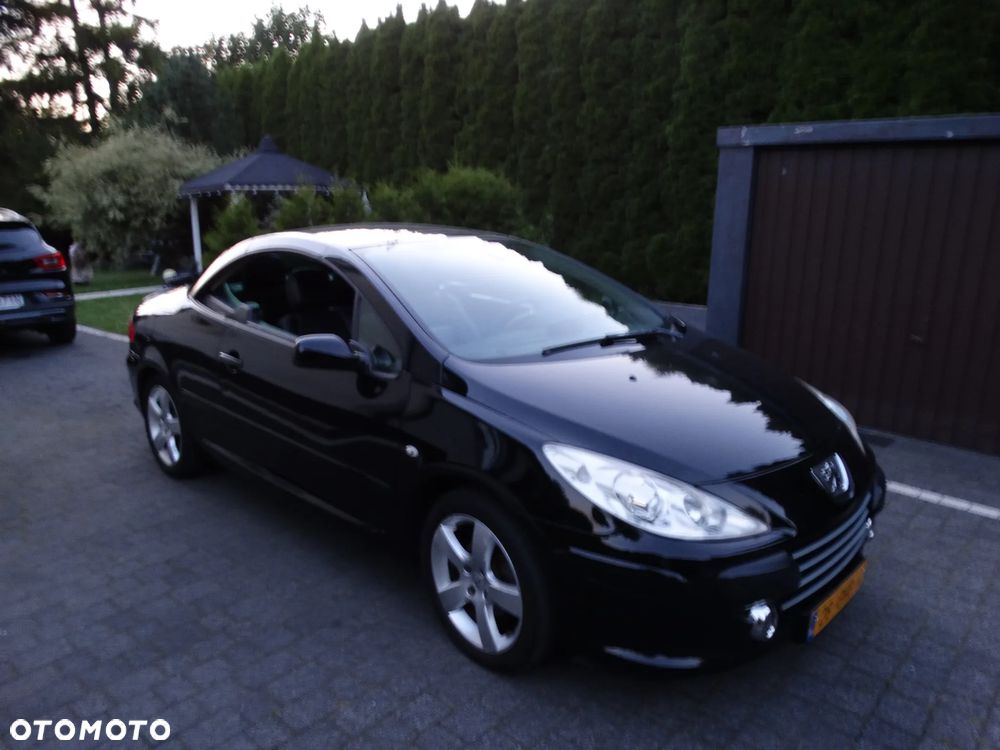 Peugeot 307 - 12