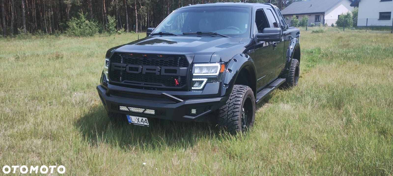 Ford F150 - 1
