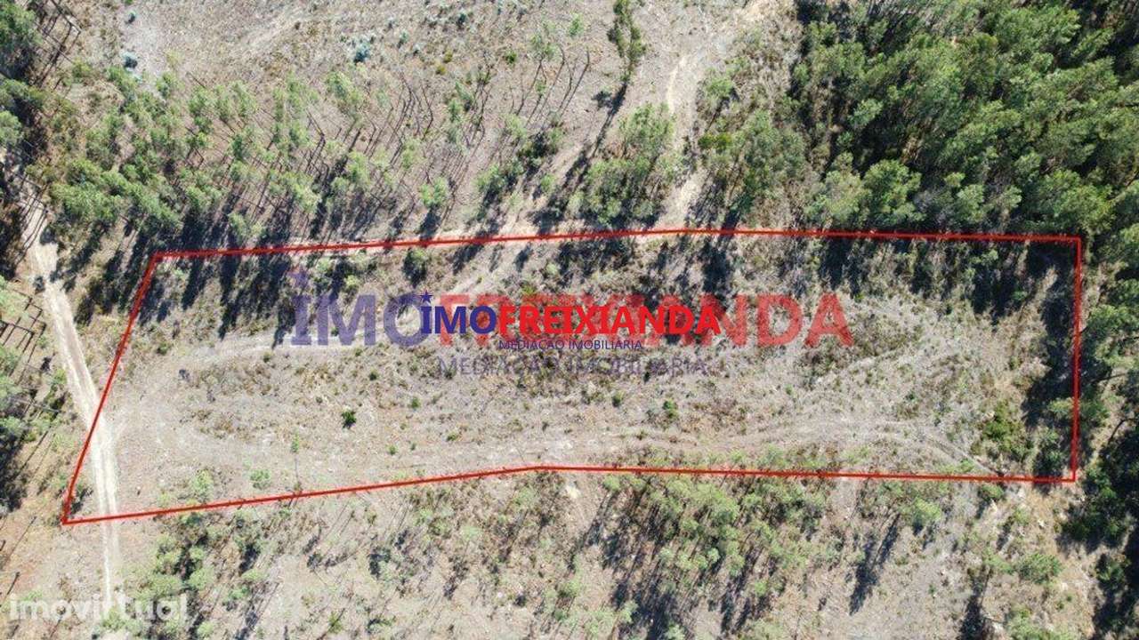 Terreno em Freixianda - Grande imagem: 2/2