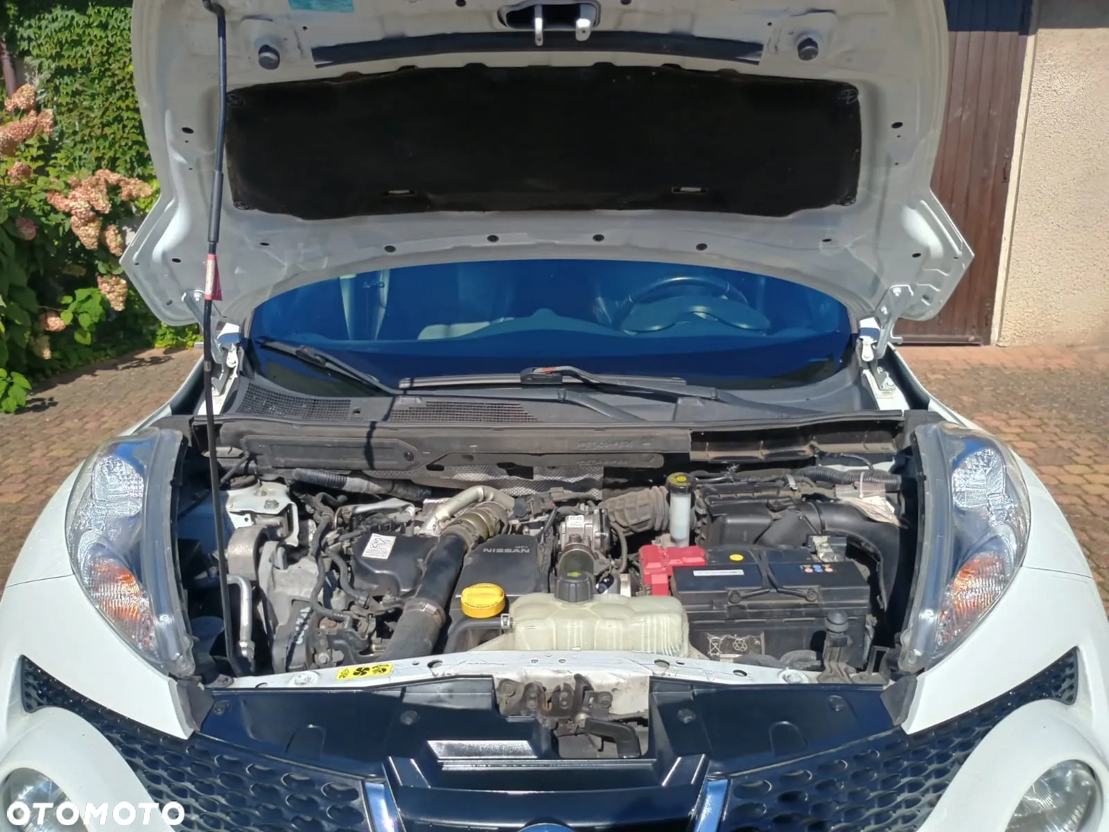 Nissan Juke 1.5 dCi Acenta S&S - 9