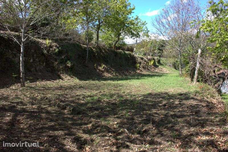 Terreno com casa de pedra - Grande imagem: 5/7