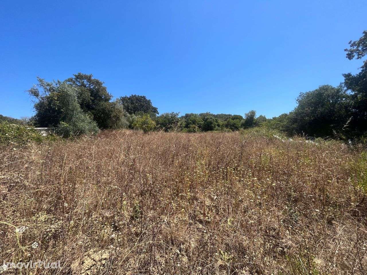 Terreno c/1600m2, Sto Quintino, Sobral Mte Agraço - Grande imagem: 2/2