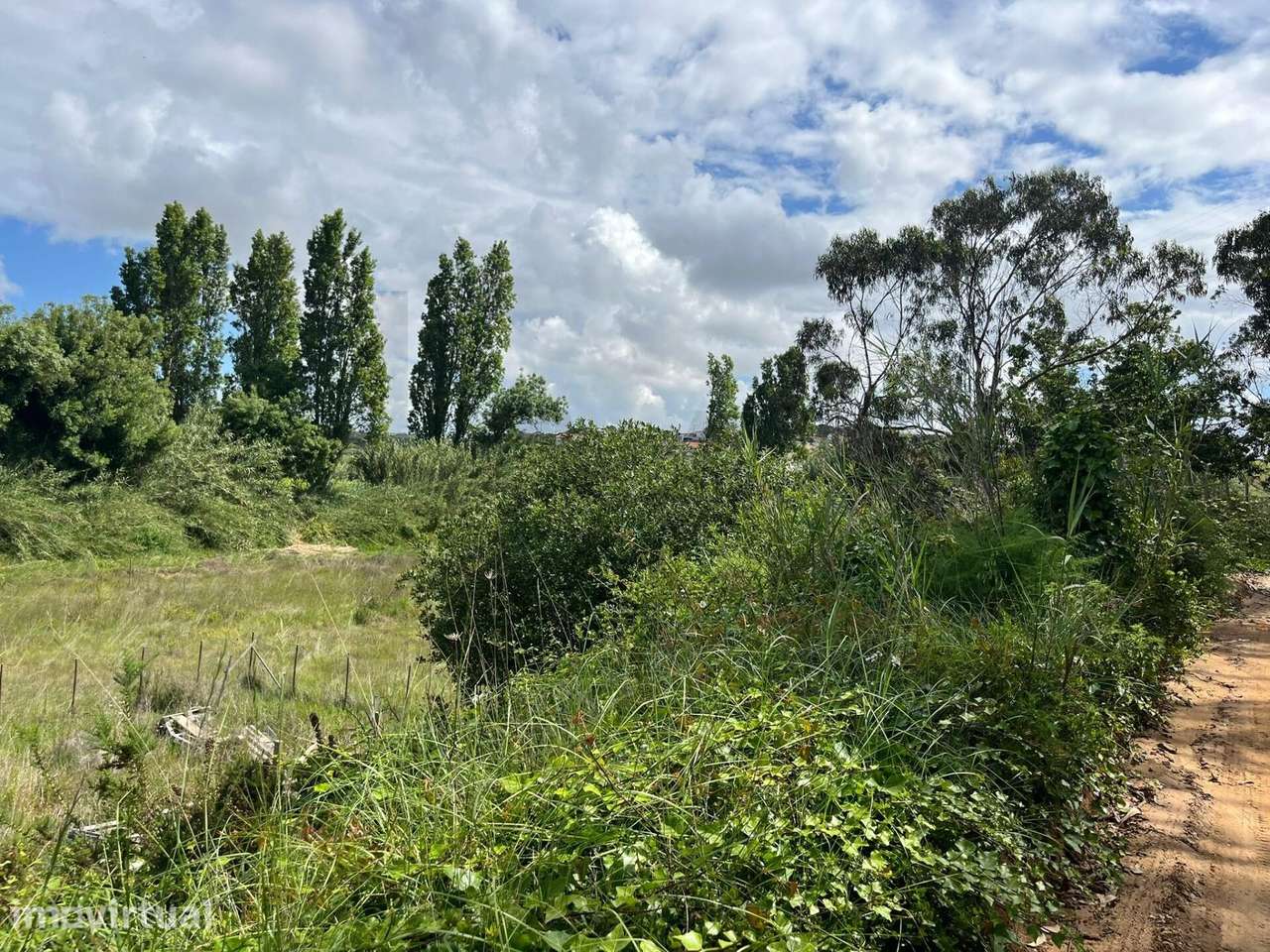 Terreno Rustico, Santo Isidoro, 3.937m2 - Grande imagem: 4/15
