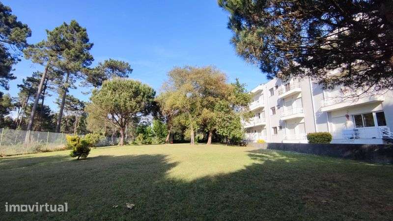 Alugo Apartamento T2 Vila do Conde - Grande imagem: 3/12