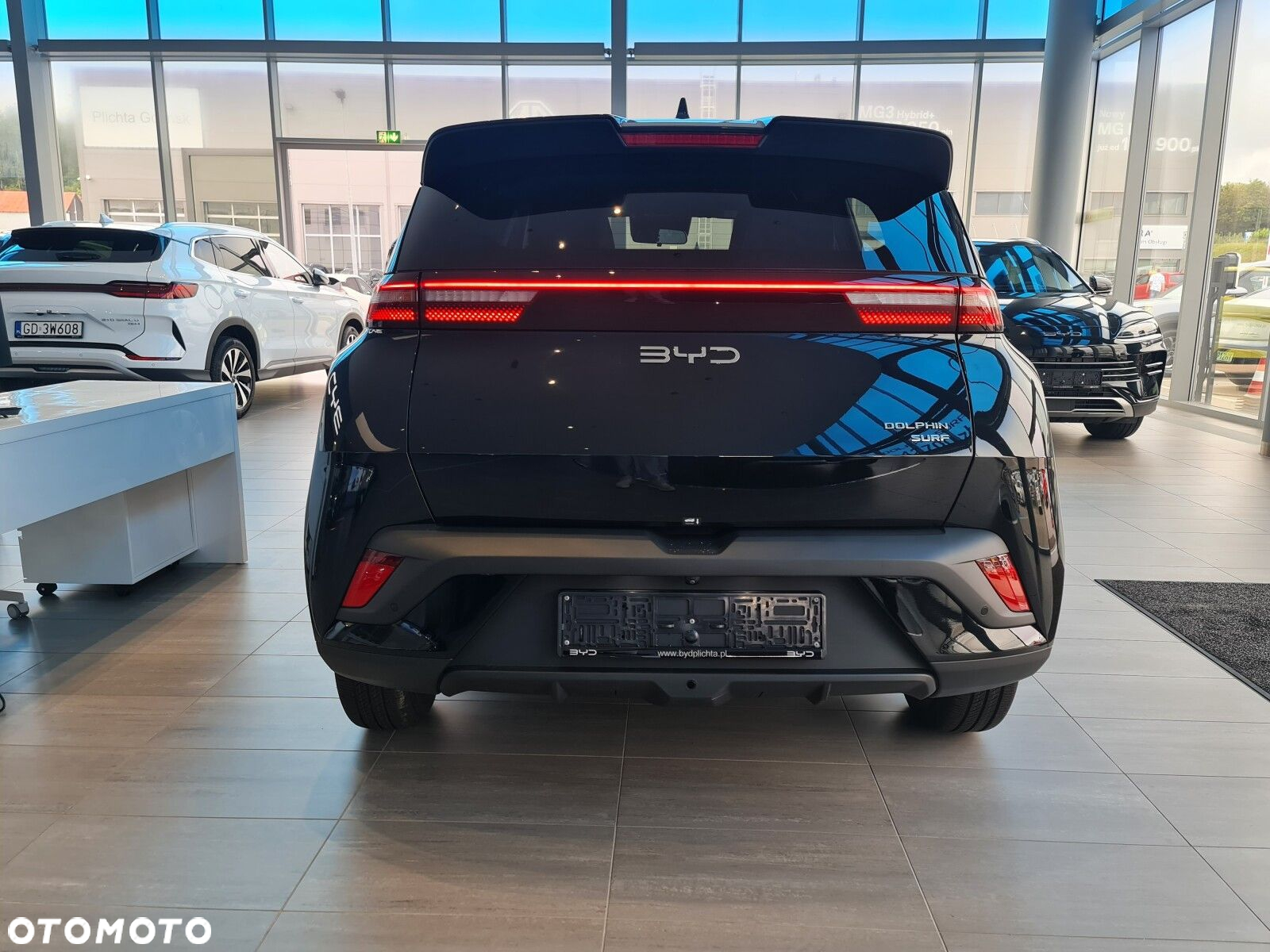 BYD Dolphin Surf - 22
