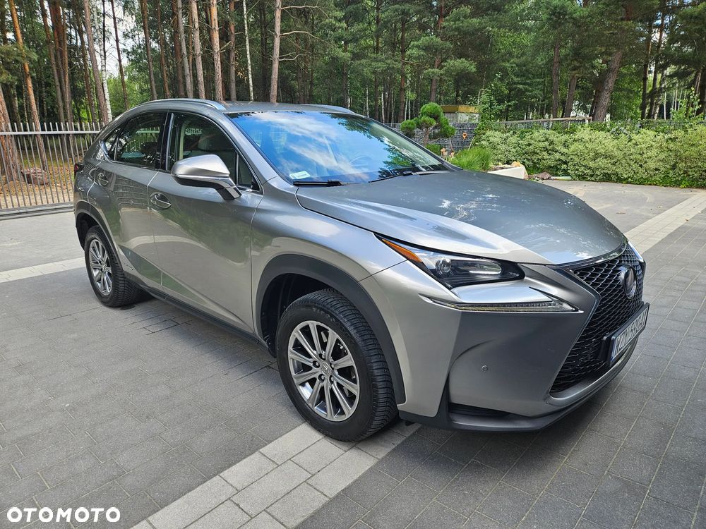 Lexus NX 300h Prestige AWD - 7