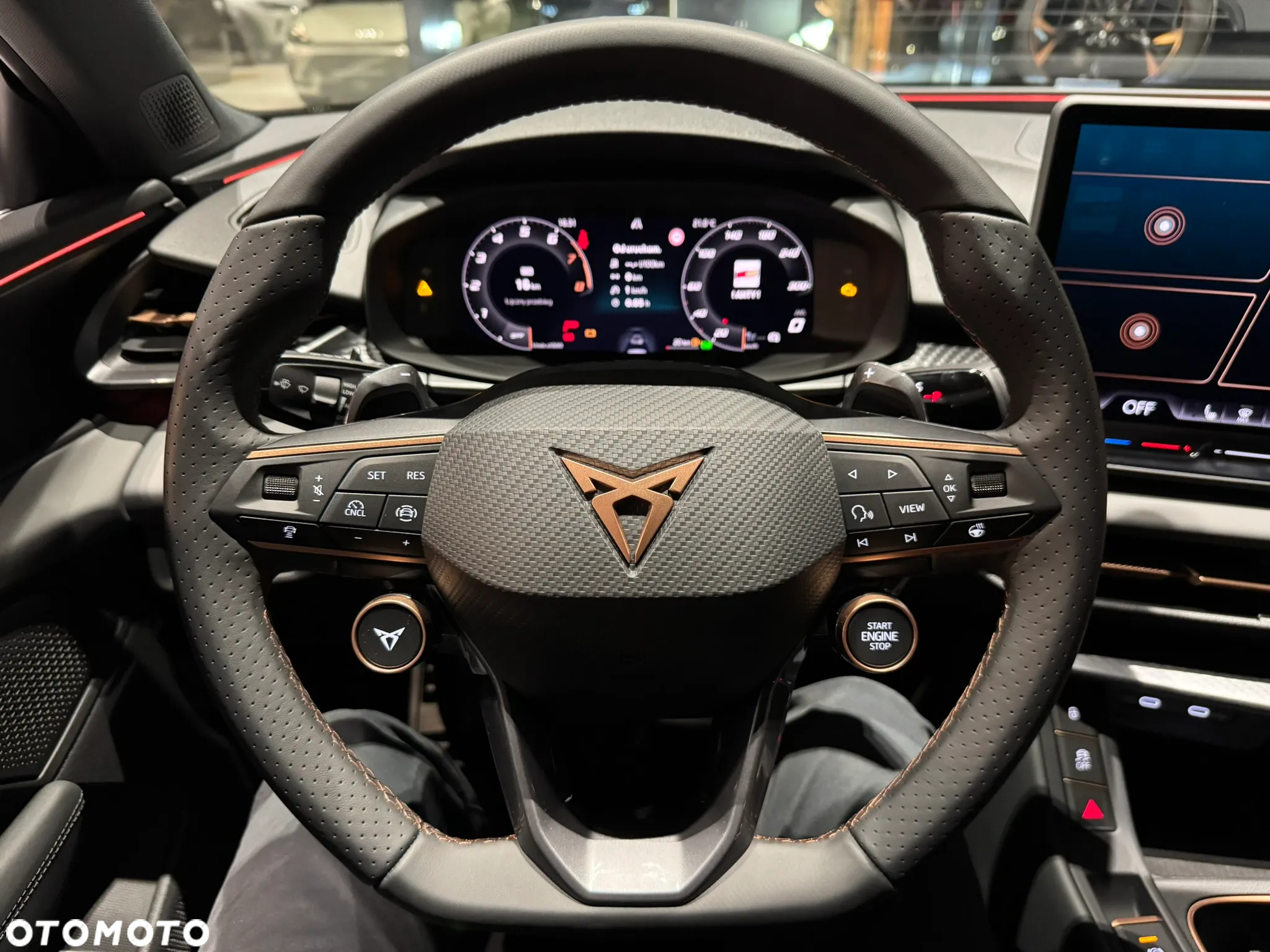 Cupra Terramar 2.0 TSI 4Drive VZ DSG - 18
