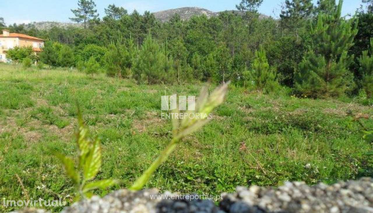 Terreno Sta Maria Geraz Lima - Grande imagem: 3/6