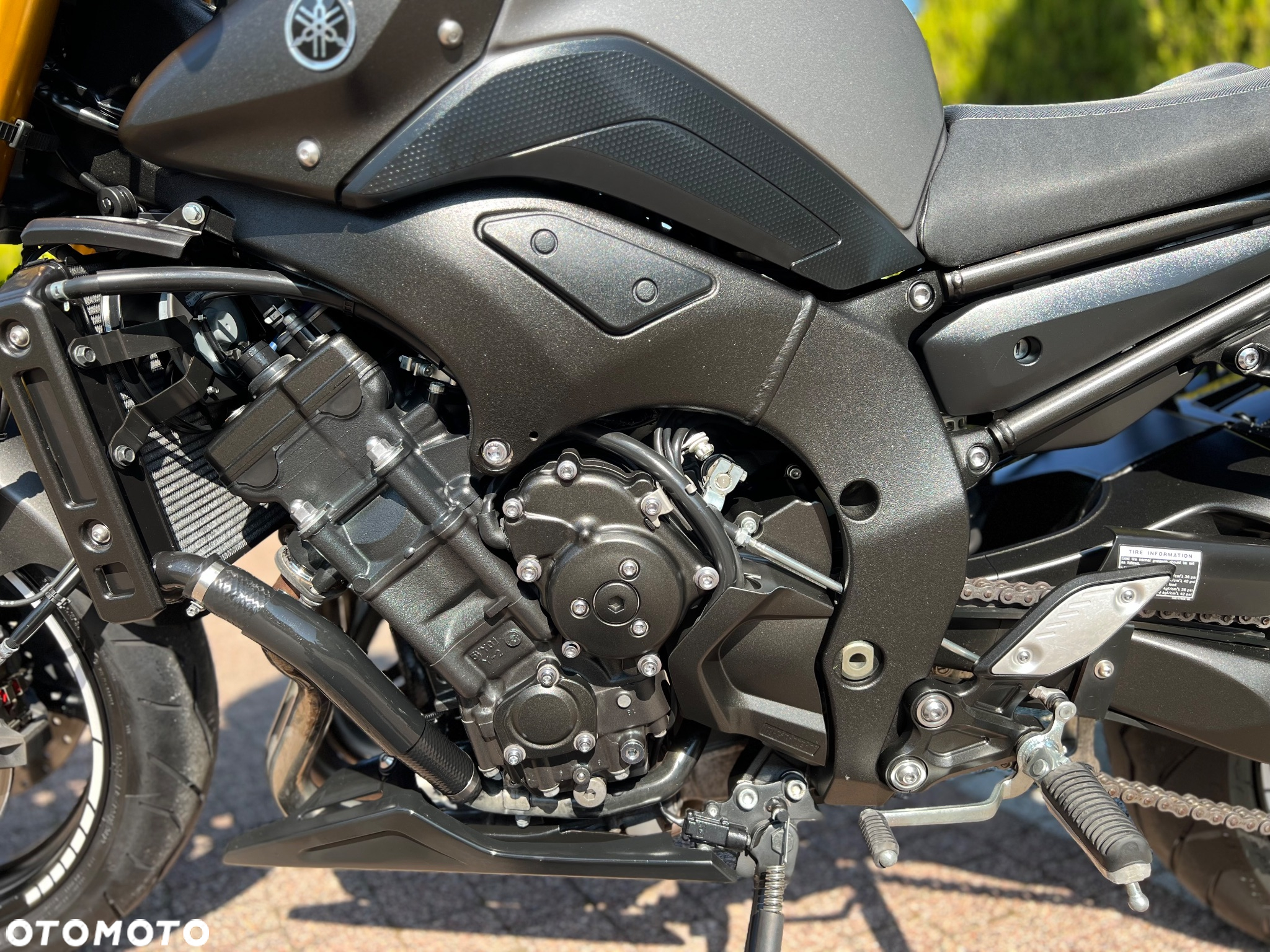 Yamaha FZ8 - 25