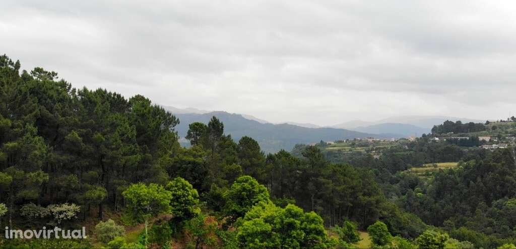 Terreno c/ Pavilhão Agrícola - Louredo - Grande imagem: 5/8