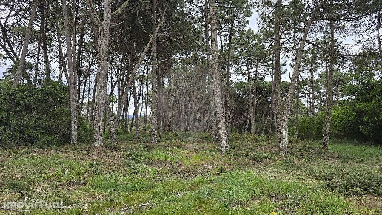 Terreno  para venda - Grande imagem: 3/4