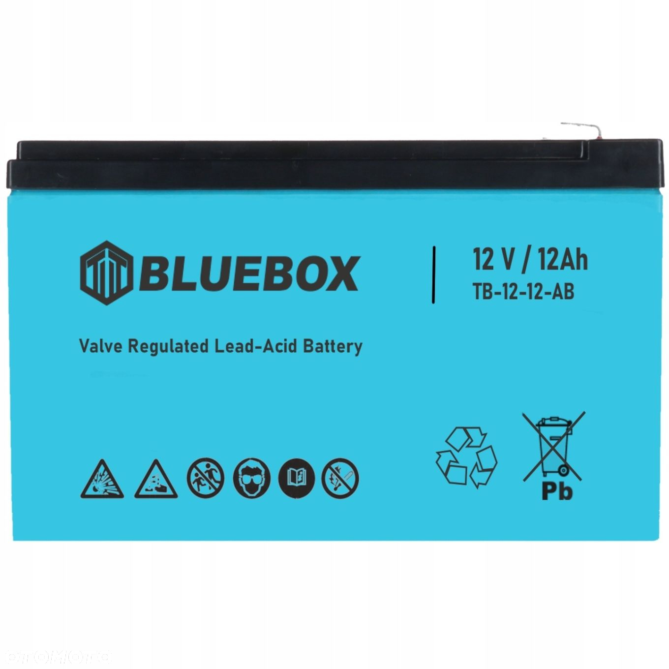 Akumulator BLUEBOX VRLA AGM 12V 12Ah 150x98x100 - 2