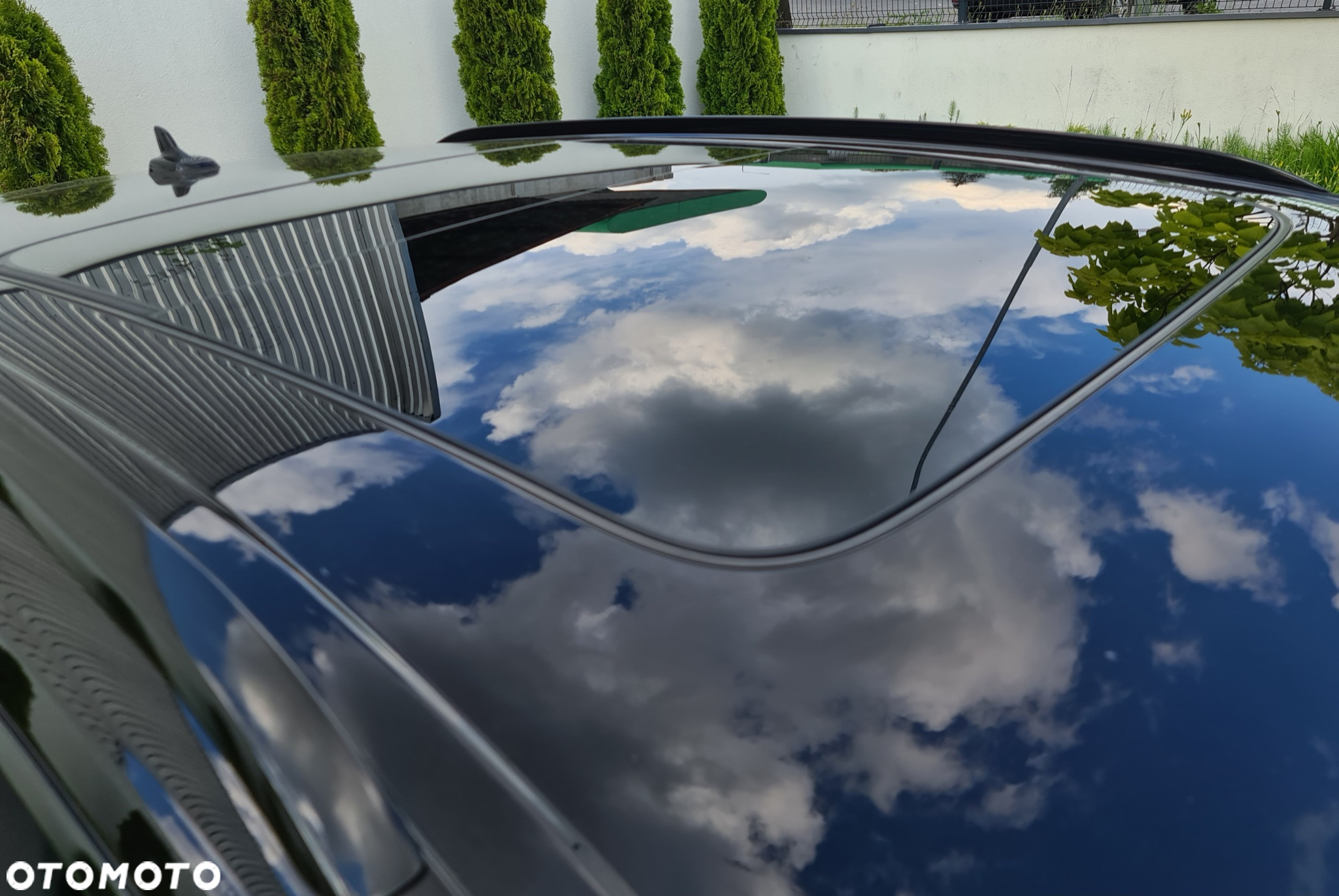 Audi Q8 - 17