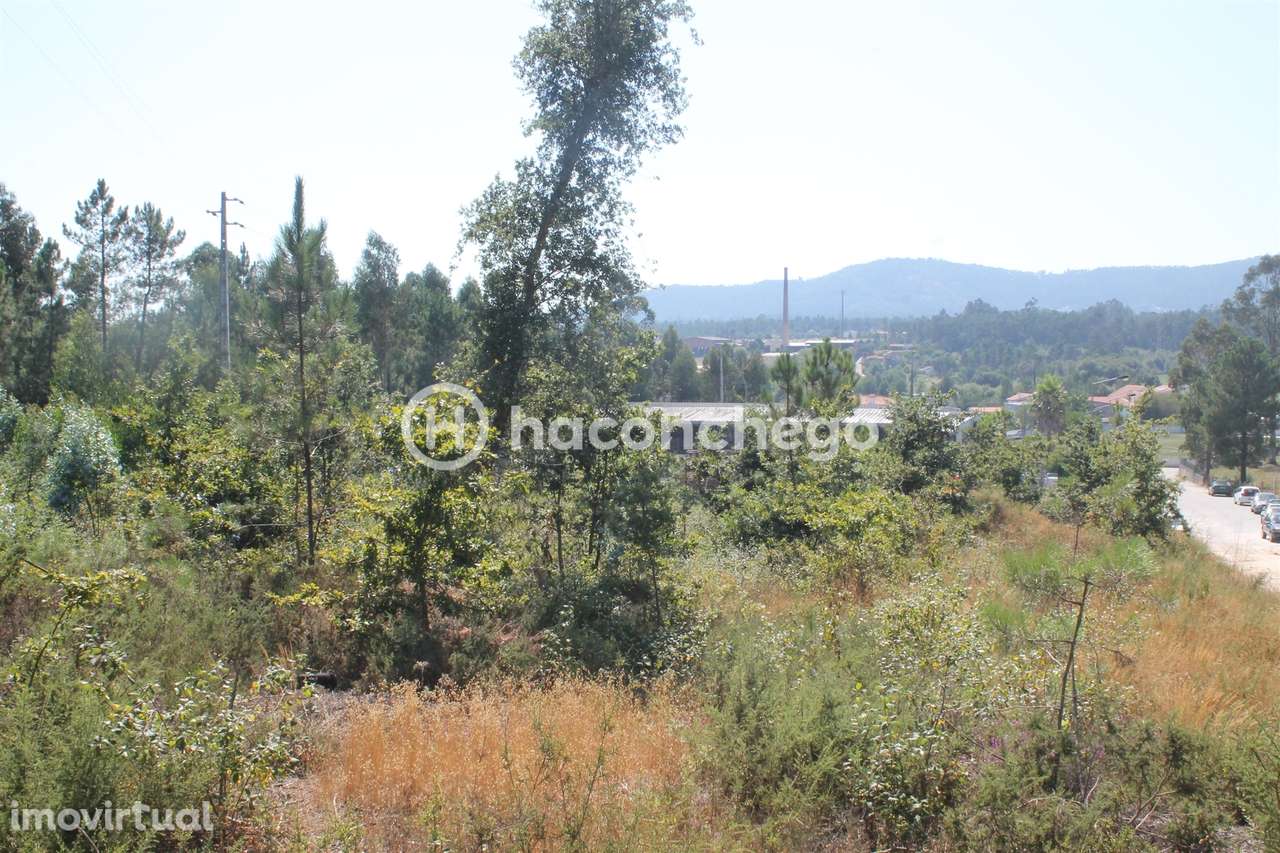 Terreno  Venda em Ucha,Barcelos - Grande imagem: 2/10