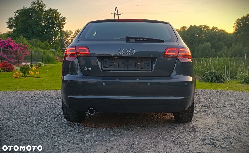 Audi A3 Sportback 1.6 Attraction - 7