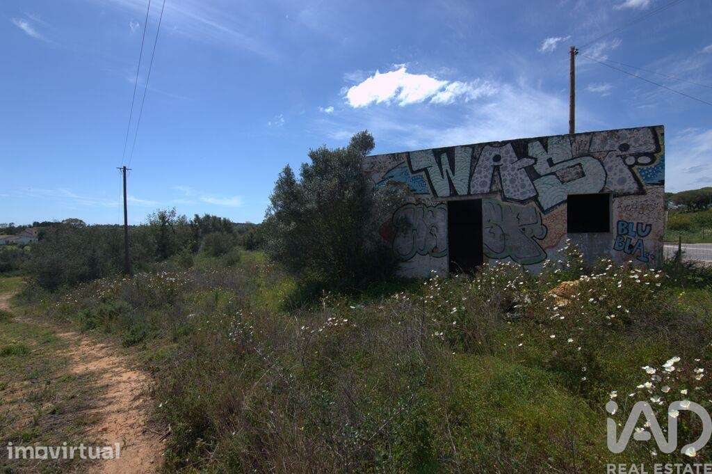 Terreno para construção em Almancil de 300,00 m2 - Grande imagem: 3/5