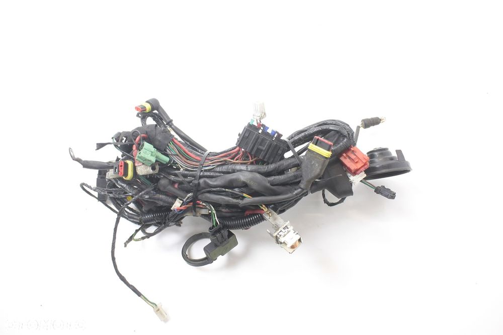 WIĄZKA ELEKTRYCZNA Peugeot Geopolis 250 - 2