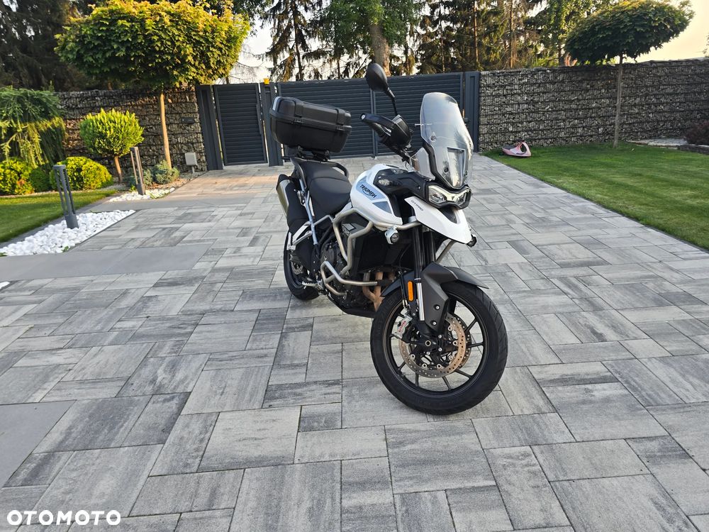 Triumph Tiger - 8