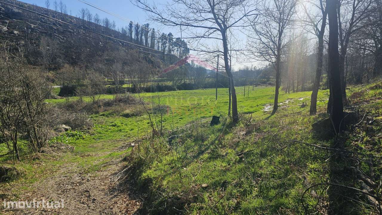 Terreno  Venda em Mamouros, Alva e Ribolhos,Castro Daire - Grande imagem: 3/9
