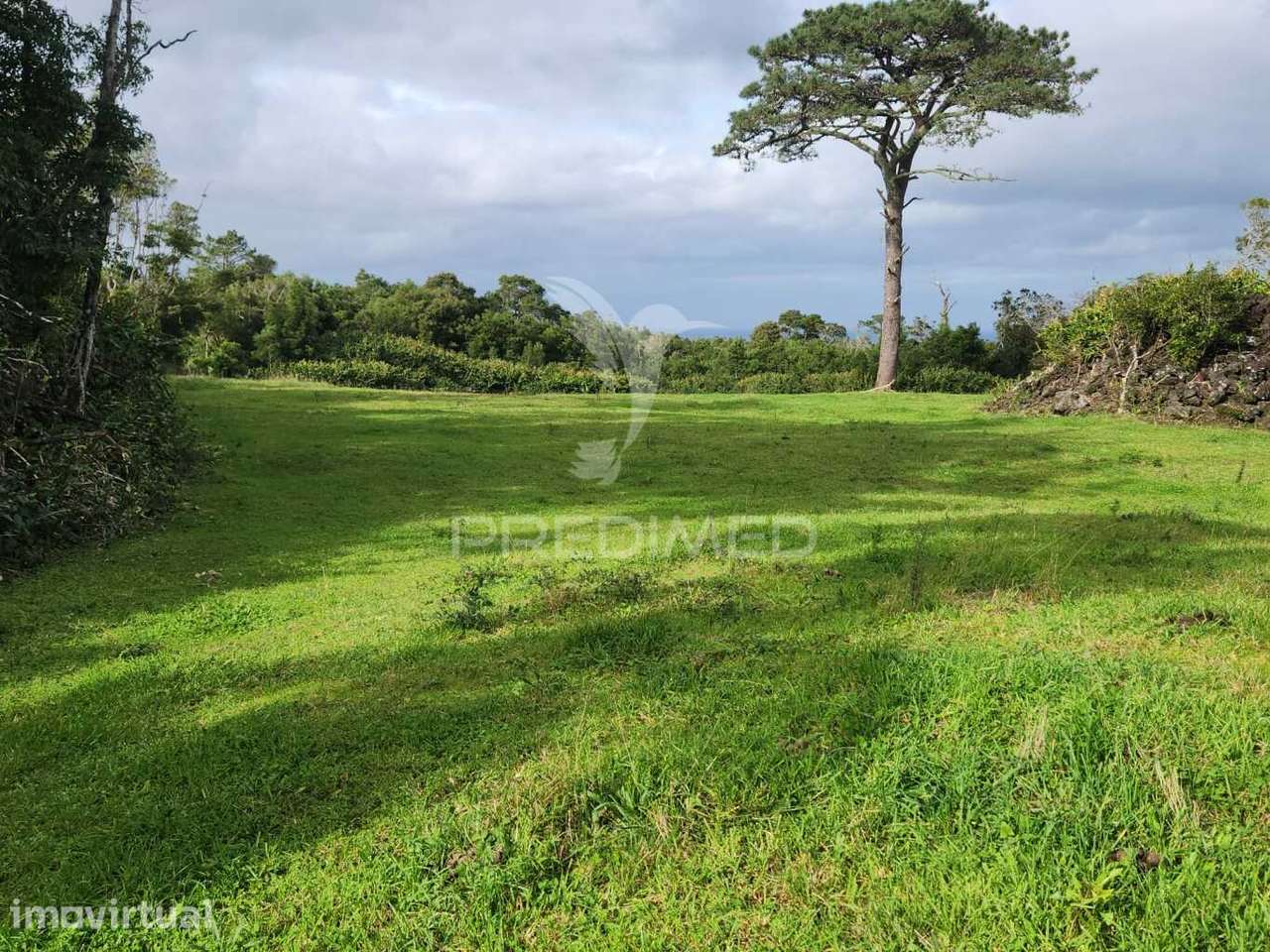 Terreno com pastagem nas Bandeiras - Grande imagem: 4/4